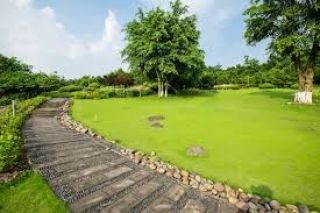 The District Amenities - Landscape Areas